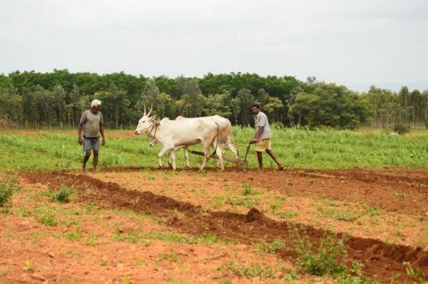 farmer in Mandya district