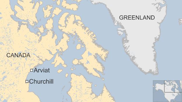A map showing Arviat, Churchill and Greenland