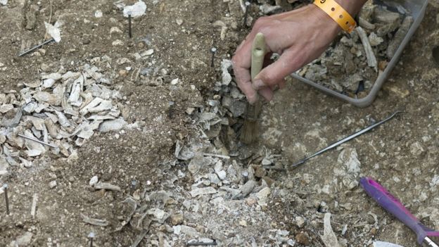 Stonehenge excavación