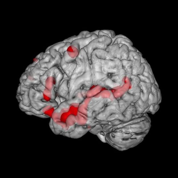 En rojo, las regiones del cerebro que se activan durante la lectura de historias de ficción.