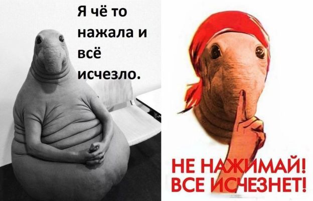 Ждун
