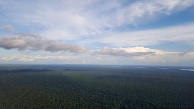 Triple frontera Brasil, Perú y Colombia