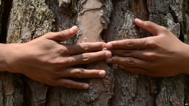 A Nepalese child hugs a tree in a forest in a bid to set a new world record for the largest tree hug on World Environment Day on June 5, 2014