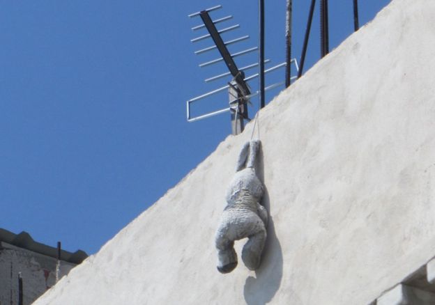 Rabbit hanging from aerial