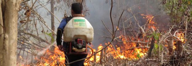 This handout photo taken on 25 September 2015 and released on 9 October 2015 by the Borneo Orangutan Survival Foundation shows a technician from the BOSF Samboja Lestari Orangutan Reintroduction Program trying to put out fire using a fertilizer sprayer filled with water in Samboja, in Indonesia's East Kalimantan.