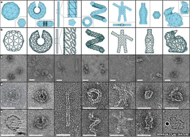 series of shape schematics and microscope images