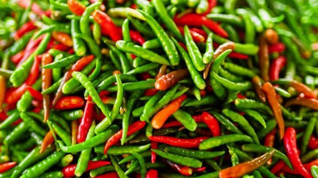 Chiles verdes y rojos