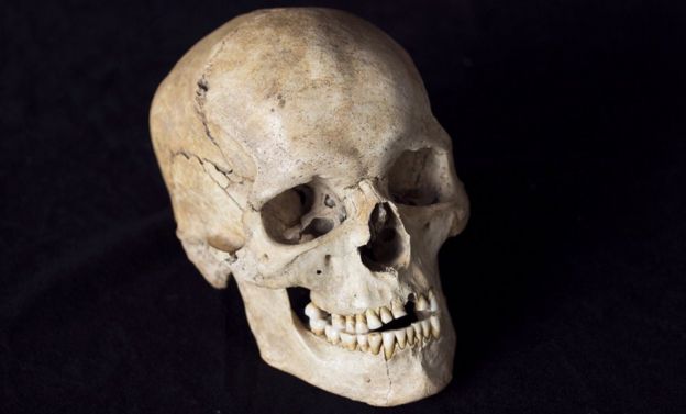 Villabruna skull