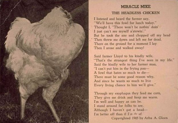 Postcard with poem about Mike