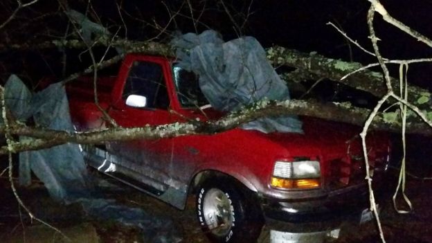 A tree on top of a truck in Mississippi