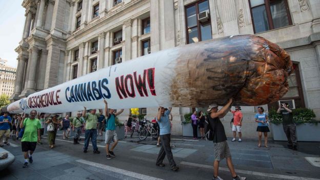Supporters of former US Democratic presidential candidate Bernie Sanders hold a giant inflatable joint calling for the legalization of marijuana during a rally at City Hall in Philadelphia on July 25, 2016