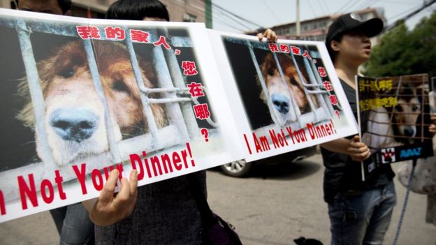 Animal rights advocates hold protest signs outside the Yulin government office in Beijing, Friday, June 10, 2016.