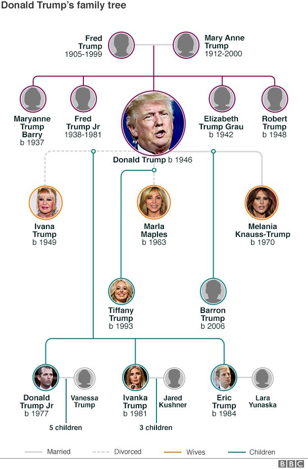 Trump family tree