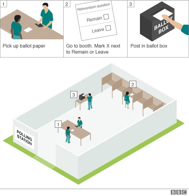 How to vote graphic