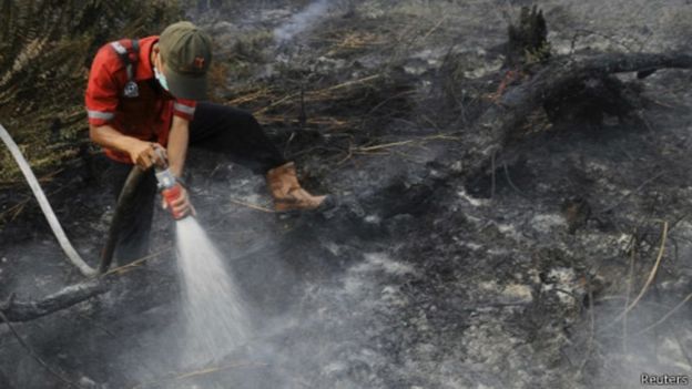 greenpeace