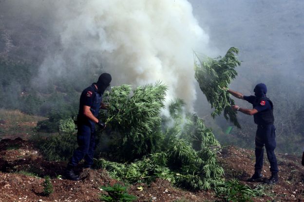 Dos policías queman marihuana en la localidad de Kurvelesh.
