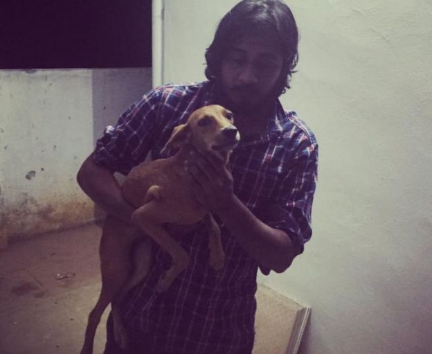 Two India students arrested for throwing dog off roof