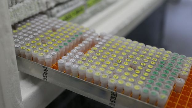 Technicians retrieve frozen DNA samples at the Jodrell Science laboratory at Kew Gardens