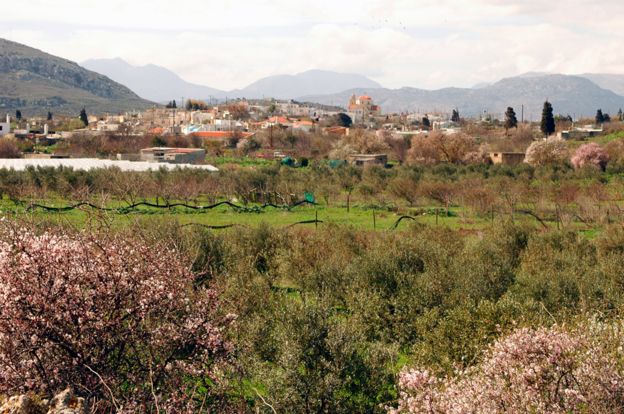 Village