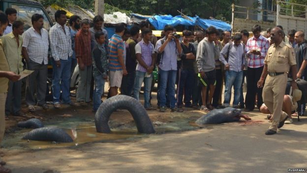 Anaconda on a potholed road