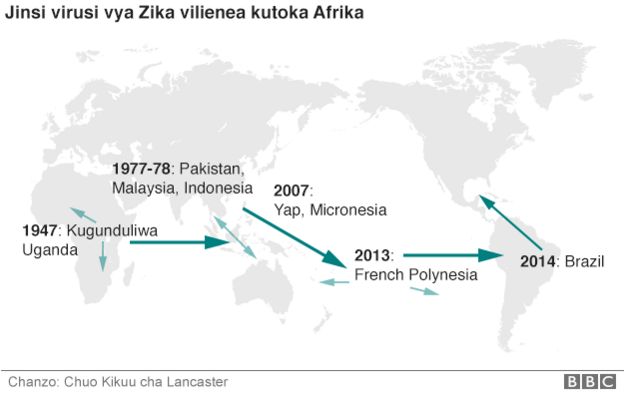 Virusi vya Zika vilivyoenea kutoka Afrika
