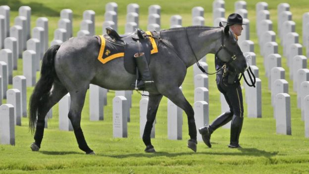 A riderless horse is lead past tombstones during an honour guard ceremony for Dallas police officer Patrick Zamarripa at Dallas-Fort Worth National Cemetery in Dallas, Saturday, 16 July