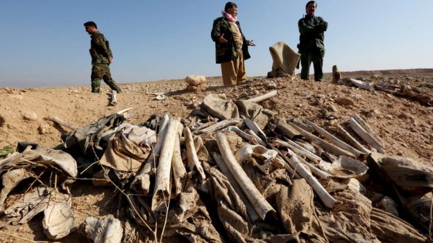 Ossadas no vale do Sinjar