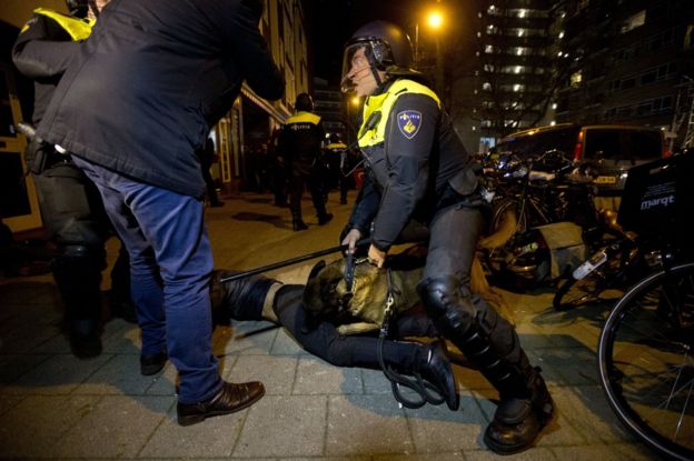 A police dog bites a demonstrator after riots break out at the Turkish consulate in Rotterdam, Netherlands, 12 March