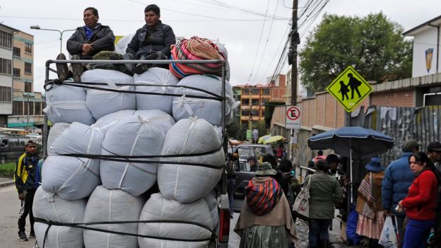 Coca boliviana