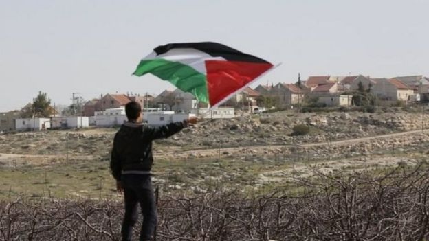 طفل يرفع العلم الفلسطيني