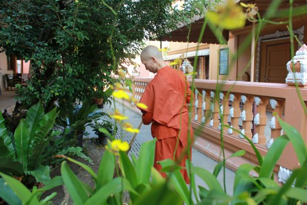 A monk in the temple gardens