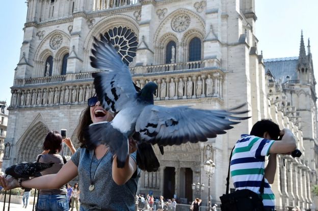 A tourist reacts and plays with pigeons as other tourists takes pictures in front of Notre-Dame Cathedral, Paris, 15 August