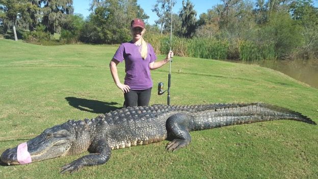 Christy Kroboth con un gigantesco caimán que capturó en Houston.