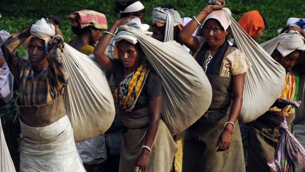 Women tea workers balance bags of plucked leaves on their heads