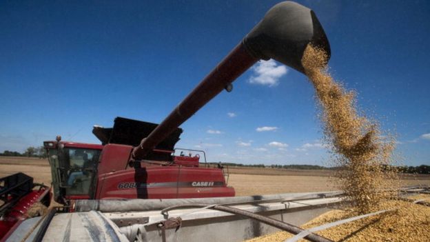A fall in soybean exports hit fourth quarter growth