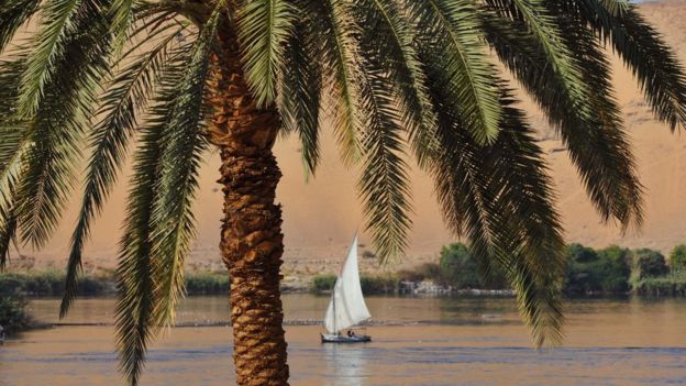 أرشيف