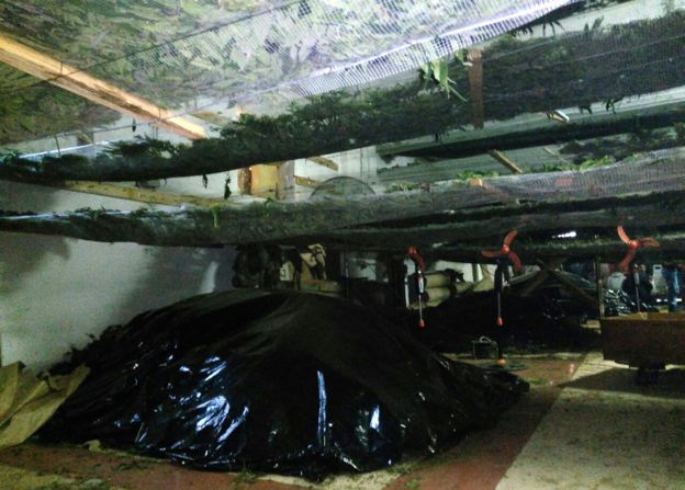 Marihuana en un almacén.