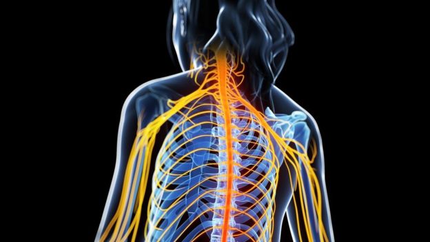 Ilustración de la EM atacando la médula espinal.