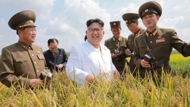 Kim Jong-un con sus asesores en una visita al campo