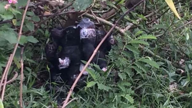 தூக்கி வீசப்பட்ட பிள்ளையார் சிலை