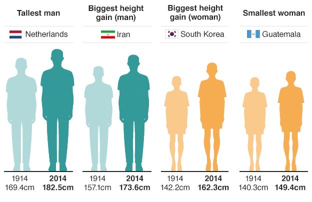 average height by country