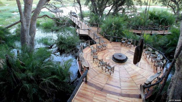 A wooden structure built into the swamp undergrowth as part of an upmarket tourist resort in Botswana