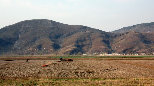 North korean farm land