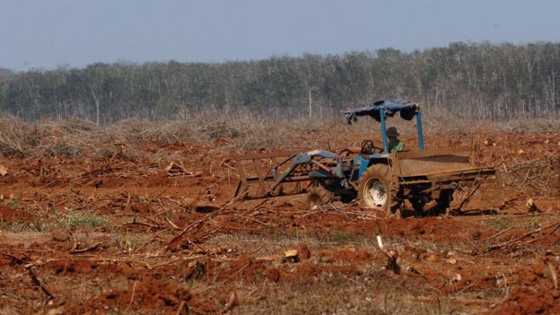 Tranh chấp đất đai ở Đắk Nông đã dẫn đến nhiều vụ xô xát giữa người dân và các công ty liên quan