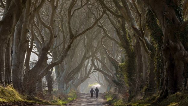 The Dark Hedges have been made famous in the HBO series Game of Thrones