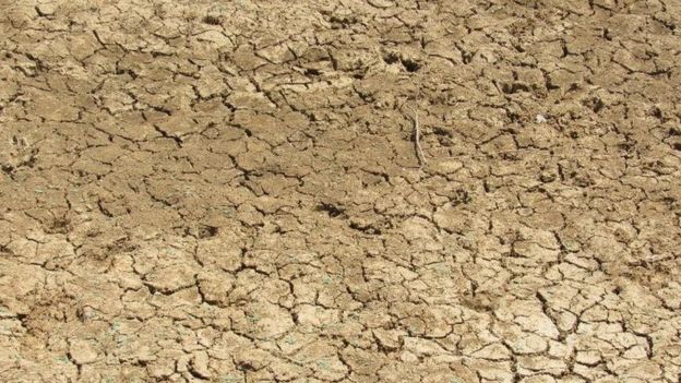வறண்ட நிலையில் காணப்படும் நீர்நிலை