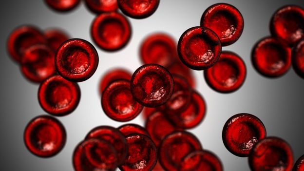 glóbulos rojos