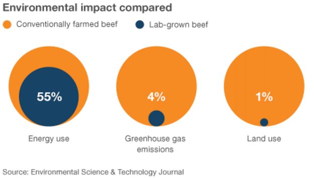 Comparing the environmental impact of conventional and laboratory beef production