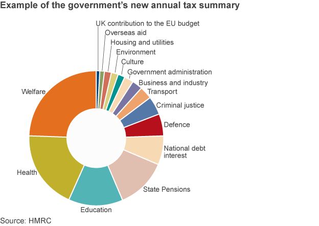 Chart showing an example of the government's new annual tax summary