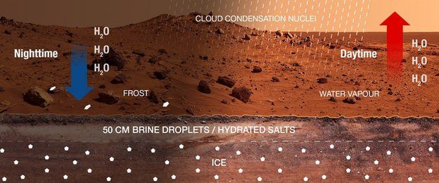 Mars infograpgic